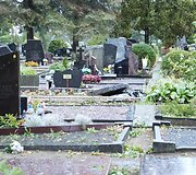 Praūžusi audra nusiaubė ir Panevėžio kapines