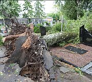 Praūžusi audra nusiaubė ir Panevėžio kapines