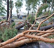 Praūžusi audra nusiaubė ir Panevėžio kapines
