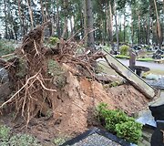 Praūžusi audra nusiaubė ir Panevėžio kapines