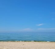 Baltijos jūros vandens &bdquo;žydėjimas&ldquo;