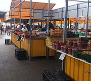 Kalvarijų turgus