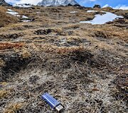 Pavienės &scaron;iuk&scaron;lės Honku slėnyje (Nepalas, 2026 m.)