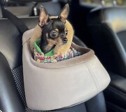 Automobilinės kėdutės augintiniams