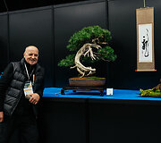 K.Ptakausko bonsai menas
