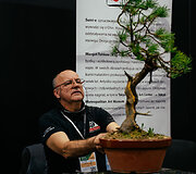 K.Ptakausko bonsai menas