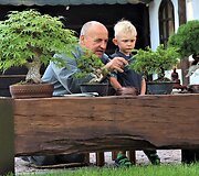 K.Ptakausko bonsai menas