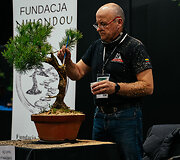 K.Ptakausko bonsai menas