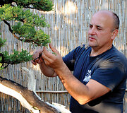 K.Ptakausko bonsai menas