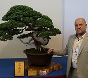 K.Ptakausko bonsai menas