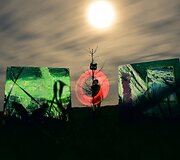 Menininkės Adelės Liepos Kaunaitės-Ganusauskienės darbai