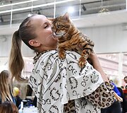Daugiau nei 100 dalyvių, itin retos veislės ir žiemi&scaron;ko meilumo pliūpsnis: &bdquo;Vilnius Outlet&ldquo; vėl kviečia į Tarptautinę Kačių parodą