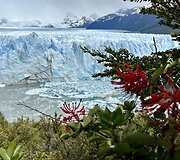 Meilė Argentinai &ndash; i&scaron; pirmo žvilgsnio: užburianti gamta, nepakartojami skoniai ir svaiginantis tango