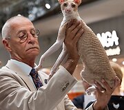 &bdquo;Vilnius Outlet&ldquo; vėl &scaron;eimininkaus katės: apie renginį pasakojantys jo organizatoriai &scaron;įkart kviečia į kitokią ir unikalią parodą 
