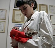 Specialiame krep&scaron;yje ne&scaron;iojama Tijana.