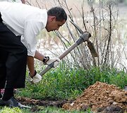 Obama kasa duobę medeliui.