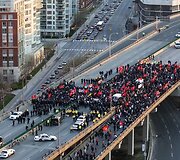 Tamilų protesto akcija