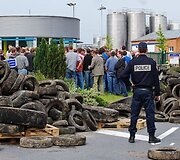Padangomis užtvertas kelias į pieno gamyklą.
