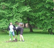 Ąžuoliuko sodinimo akcija