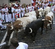Akimirka i&scaron; San Fermino festivalio