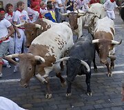 Akimirka i&scaron; San Fermino festivalio