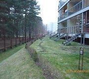 Zenono Blizniko kiemas