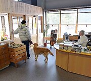 Biblioteka Norvegijos kalnuose, Engerdal komunoje