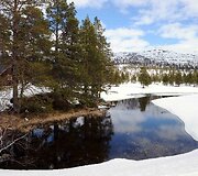 Pavasaris Norvegijos kalnuose
