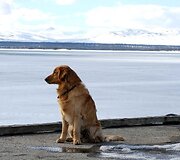 Pavasaris Norvegijos kalnuose