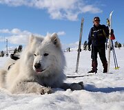 Pavasaris Norvegijos kalnuose