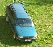 Fotopolicija. Automobilis ant pievelės.