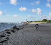 Papėje smagu keliauti dviračiais. 