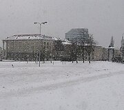 Pūga prie Pedagoginio universiteto