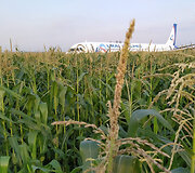Rusijos oro bendrovės &bdquo;Uralskie avialinii&ldquo; laineris &bdquo;Airbus А-321&ldquo; be važiuoklės sėkmingai nusileido kukurūzų lauke.