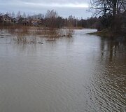 Potvynis &Scaron;ilalėje
