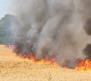 Degantis rugių laukas