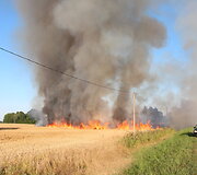 Degantis rugių laukas