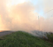 Degantis rugių laukas