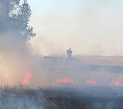 Degantis rugių laukas