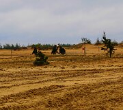 Juozo Vitkaus inžinerijos bataliono tarptautinės pratybos &bdquo;Inžinierių Griausmas 2015&ldquo;