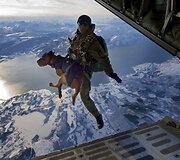 Austrijos kario ir jo &scaron;uns &scaron;uolis Norvegijoje, per pratybas &bdquo;Cold Response&ldquo; (2010 m.)