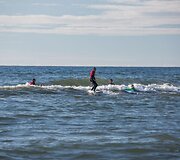 Preiloje vyksta nemokama banglenčių sporto stovykla &bdquo;Surf Camp&ldquo;