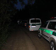 Dingusios grybautojos paie&scaron;kos