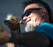Bjauriausio pasaulio &scaron;uns rinkimai