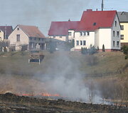 Dega žolė