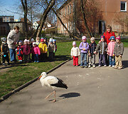 Gandras vaikų darželyje