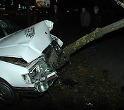 Į medį įsirėžęs automobilis
