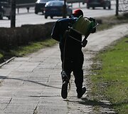 Neries pakrantėje