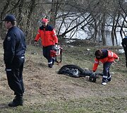 Neries pakrantėje Vingio parke