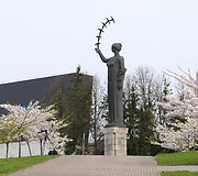 Sakurų sodas Vilniuje